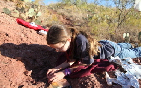 db_Dig small1